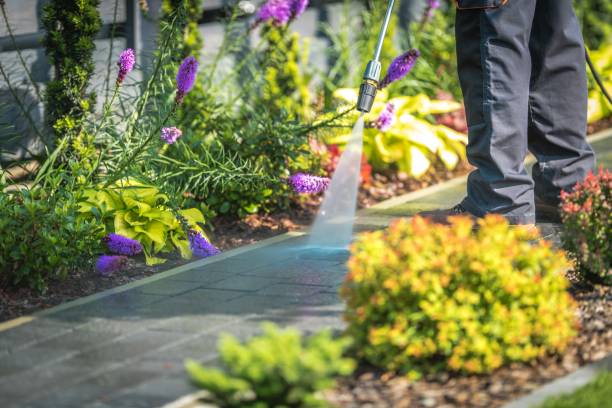 Best Spring Cleaning  in Chester, NY