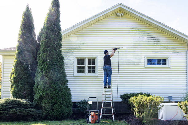 Best Roof Washing  in Chester, NY